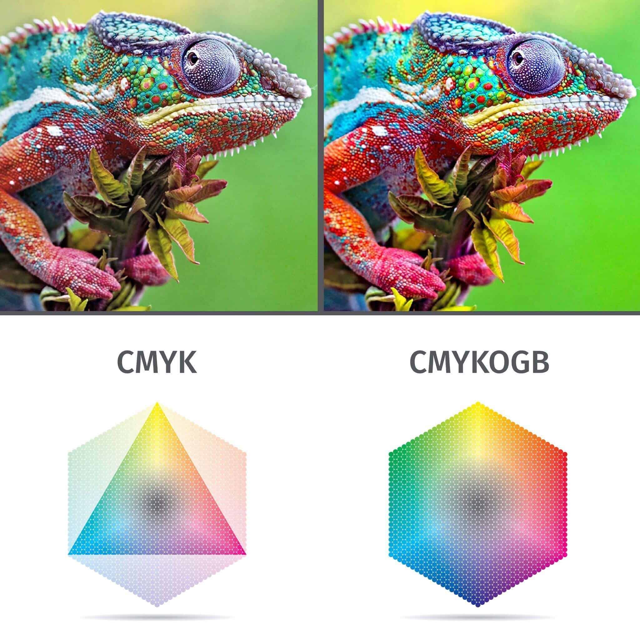 Multicolor